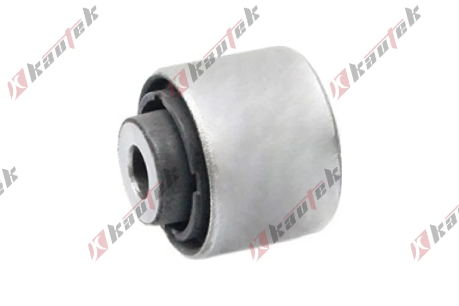 SALINCAK BURCU, ARKA DIS