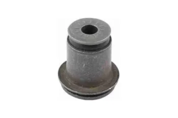 SALINCAK BURCU, ARKA