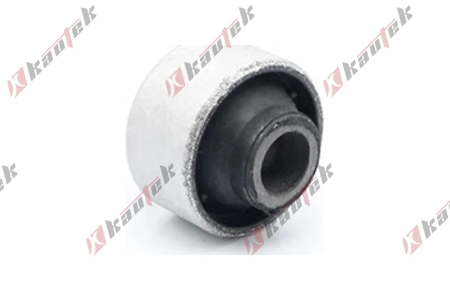 SALINCAK BURCU ARKA KUCUK