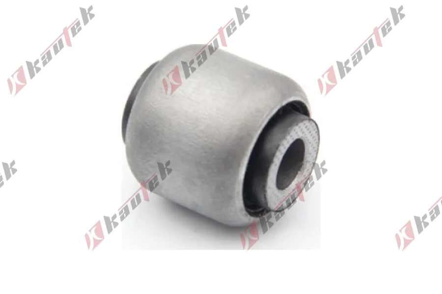 SALINCAK DENGE KOL BURCU, ARKA