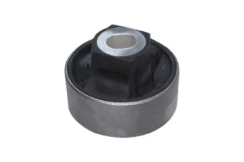 SALINCAK BURCU BUYUK