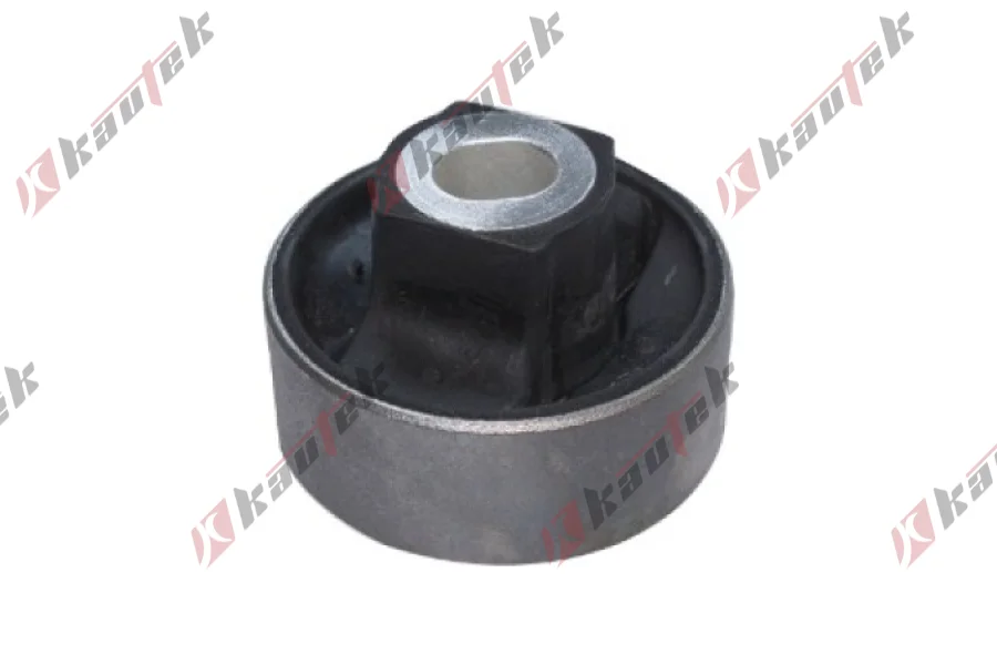 SALINCAK BURCU BUYUK