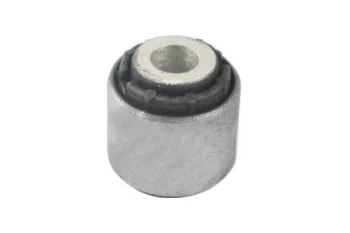 SALINCAK DENGE KOL BURCU, ARKA