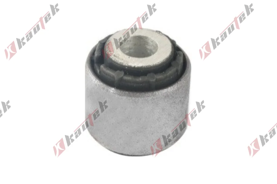 SALINCAK DENGE KOL BURCU, ARKA