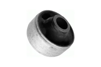 SALINCAK BURCU BUYUK