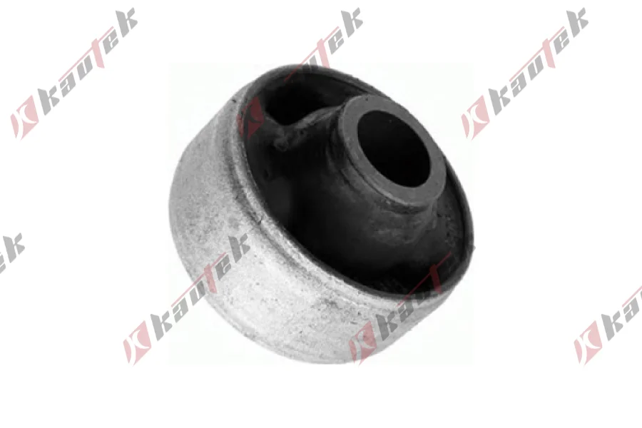 SALINCAK BURCU BUYUK