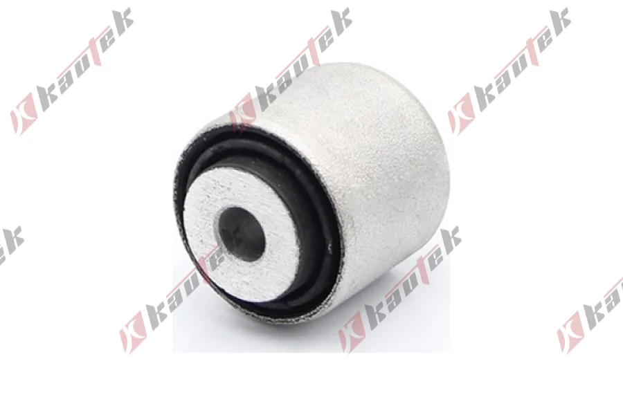 SALINCAK DENGE KOL BURCU, ARKA