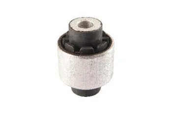 SALINCAK DENGE KOL BURCU, ALT ARKA