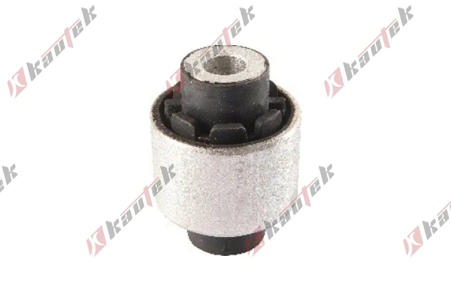 SALINCAK DENGE KOL BURCU, ALT ARKA