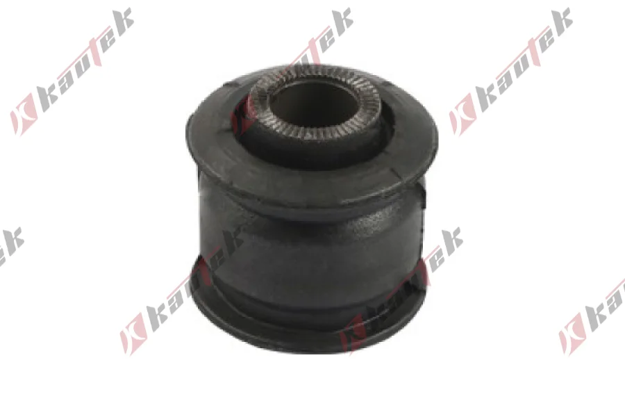 SALINCAK DENGE KOL BURCU, ARKA