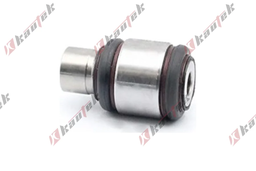 ROTILLI KOL BURCU ARKA