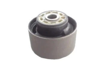 SALINCAK BURCU BUYUK