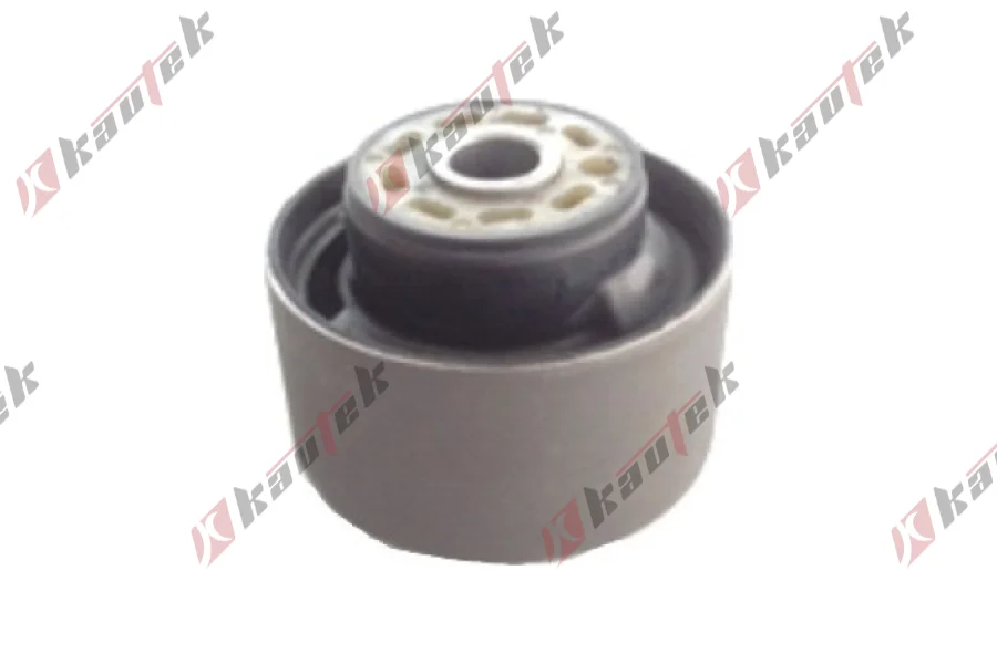 SALINCAK BURCU BUYUK