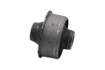 SALINCAK BURCU BUYUK