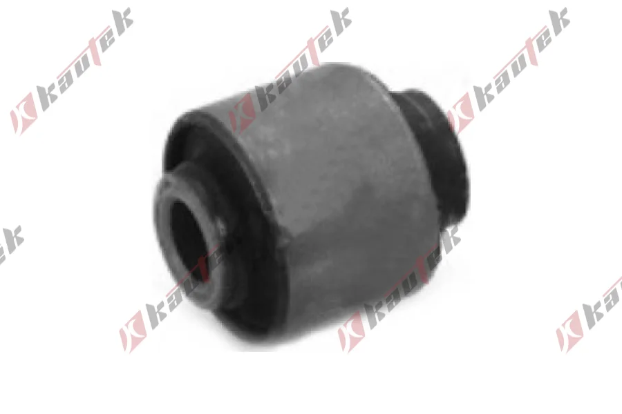 SALINCAK DENGE KOL BURCU, ARKA