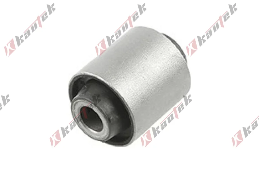 SALINCAK - DENGE KOLU BURCU, ARKA SAG / SOL