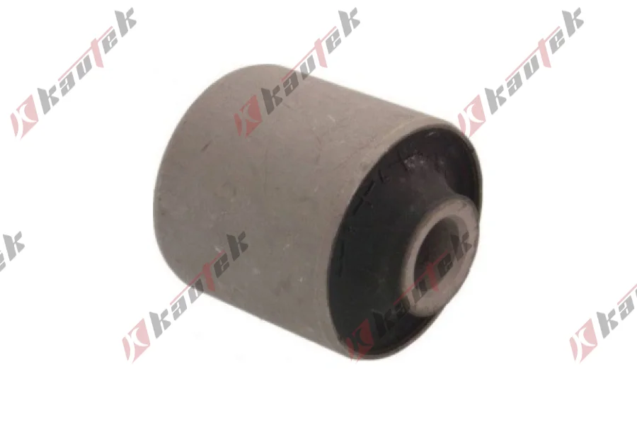 SALINCAK DENGE KOL BURCU, ARKA