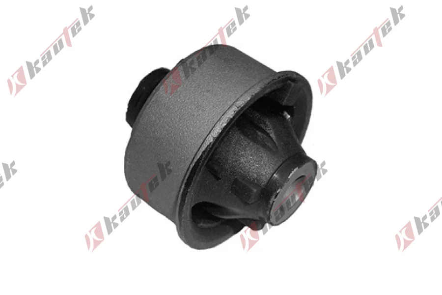 SALINCAK BURCU ARKA BUYUK