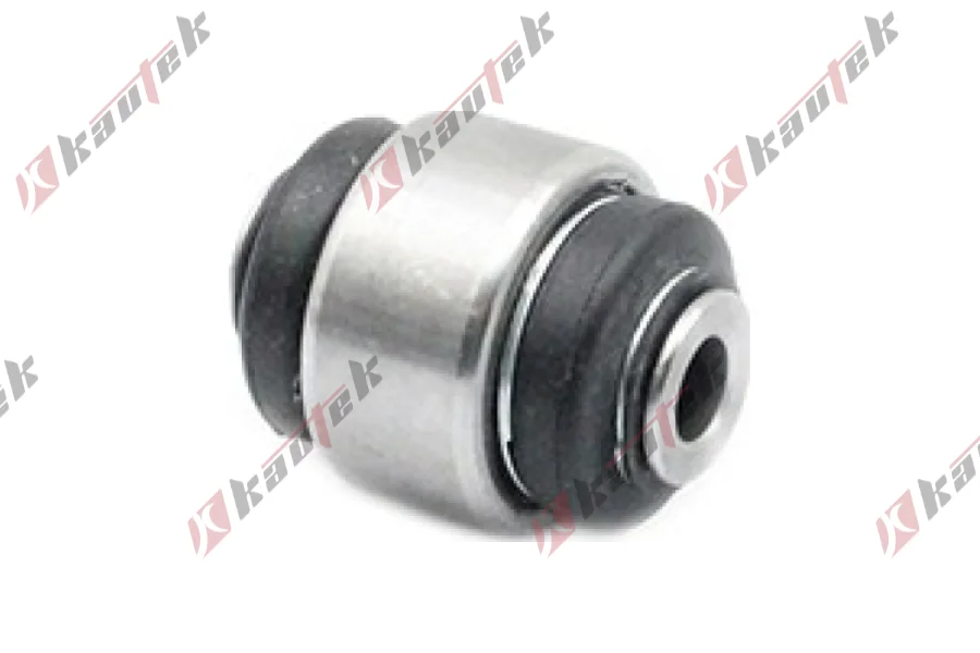 SALINCAK - DENGE KOL BURCU ARKA