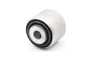 SALINCAK DENGE KOL BURCU, ARKA