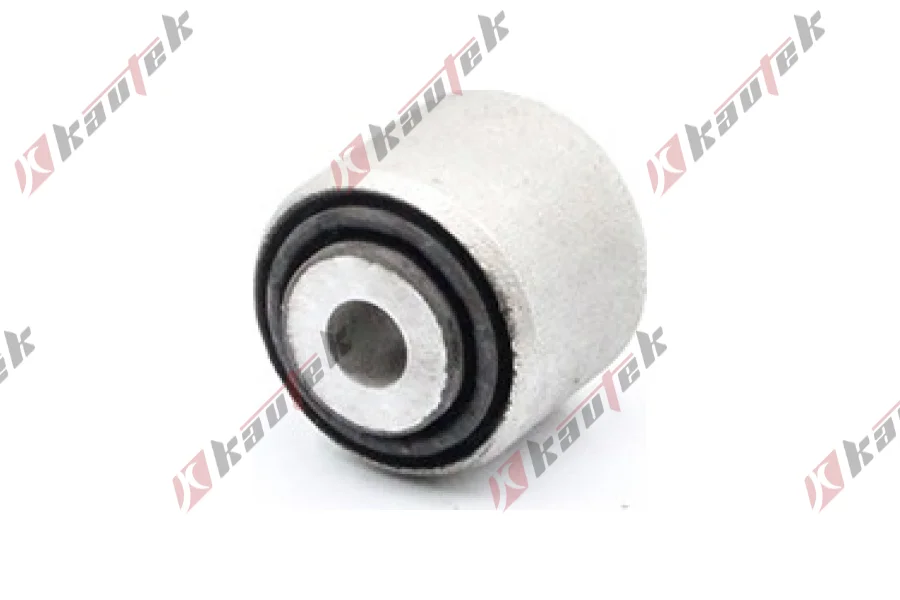 SALINCAK DENGE KOL BURCU, ARKA