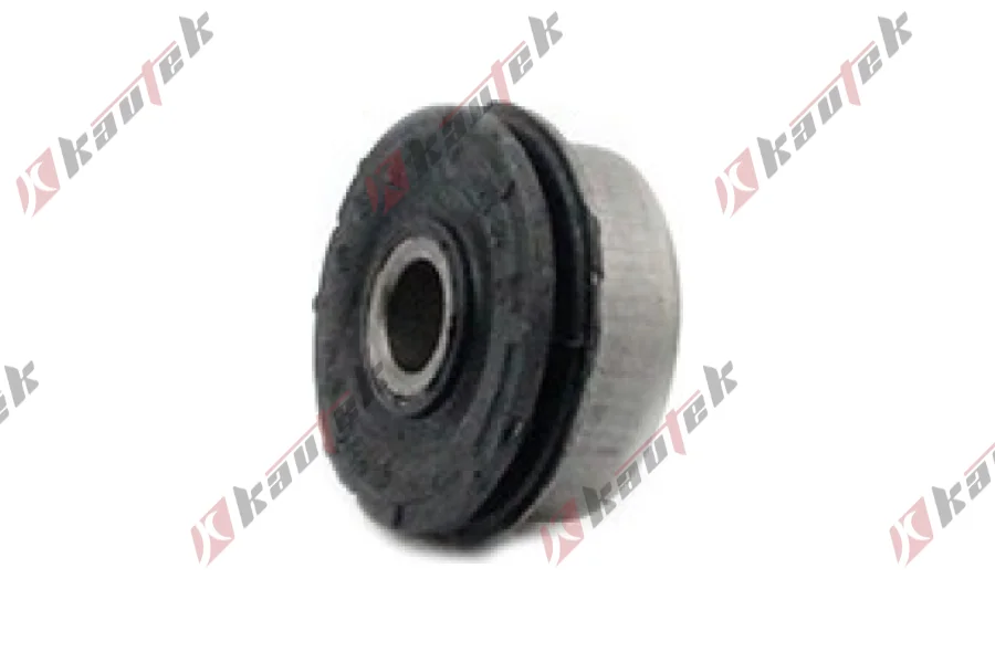 SALINCAK - DENGE KOL BURCU ARKA