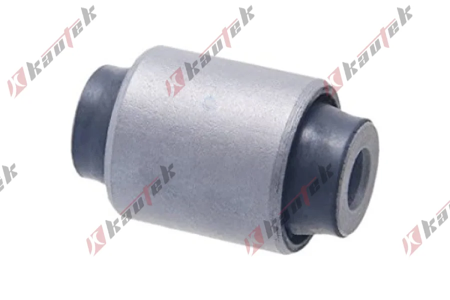 SALINCAK DENGE KOL BURCU, ARKA