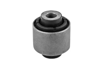 AKS TASIYICI KOL BURCU, ARKA