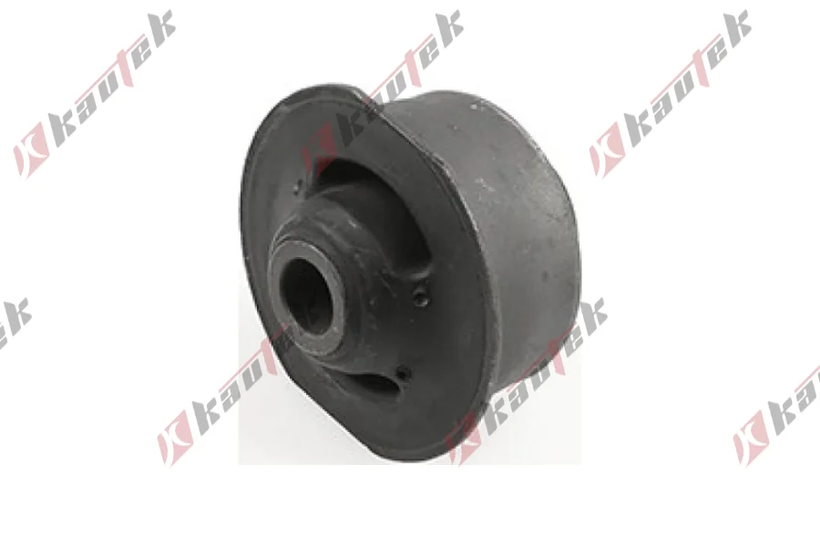 SALINCAK BURCU, ALT ON