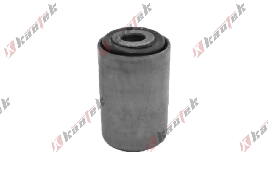 YAPRAK YAY BURCU, ARKA