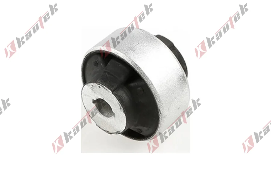 SALINCAK DENGE KOL BUYUK BURCU, ALT ON AKS SAG