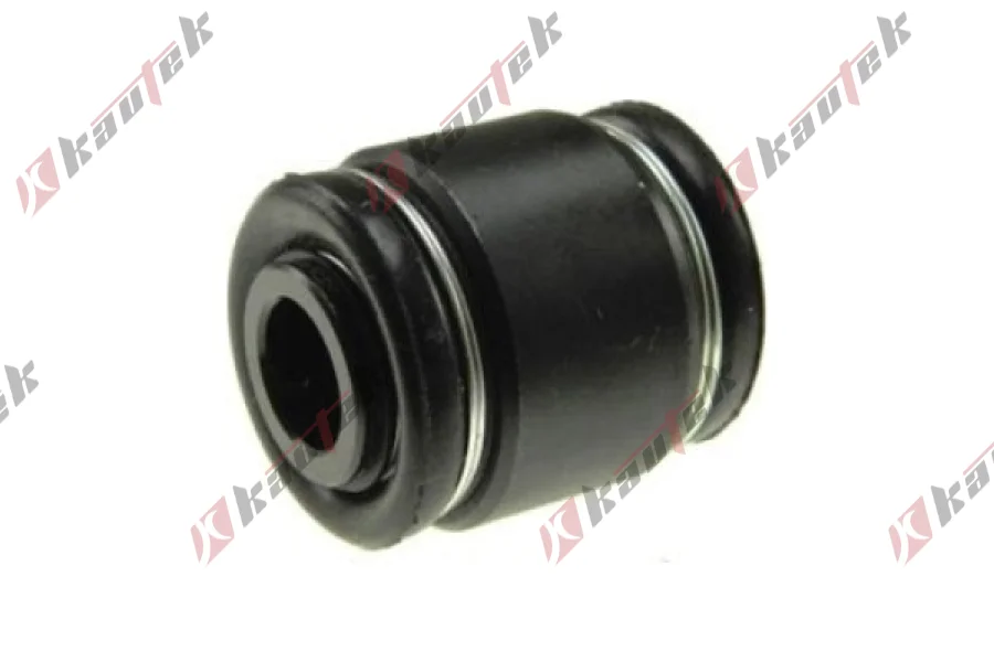 SALINCAK DENGE KOL BURCU, ARKA