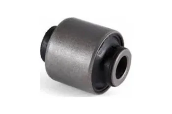 SALINCAK DENGE KOL BURCU, ARKA