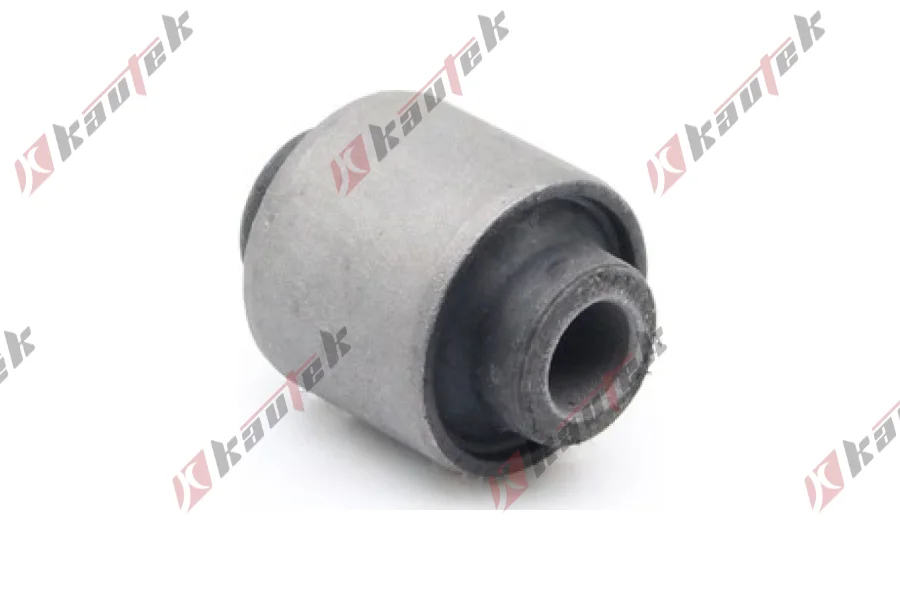 SALINCAK DENGE KOL BURCU, ARKA