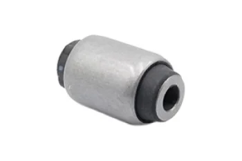 SALINCAK DENGE KOL BURCU, ARKA