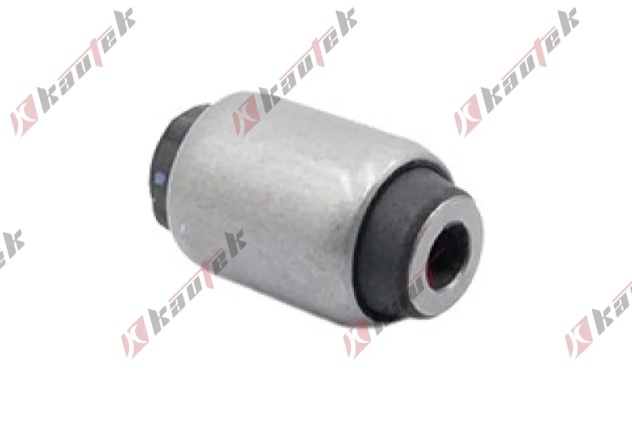 SALINCAK DENGE KOL BURCU, ARKA