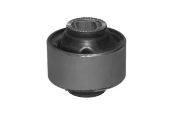 SALINCAK BURCU ARKA BUYUK