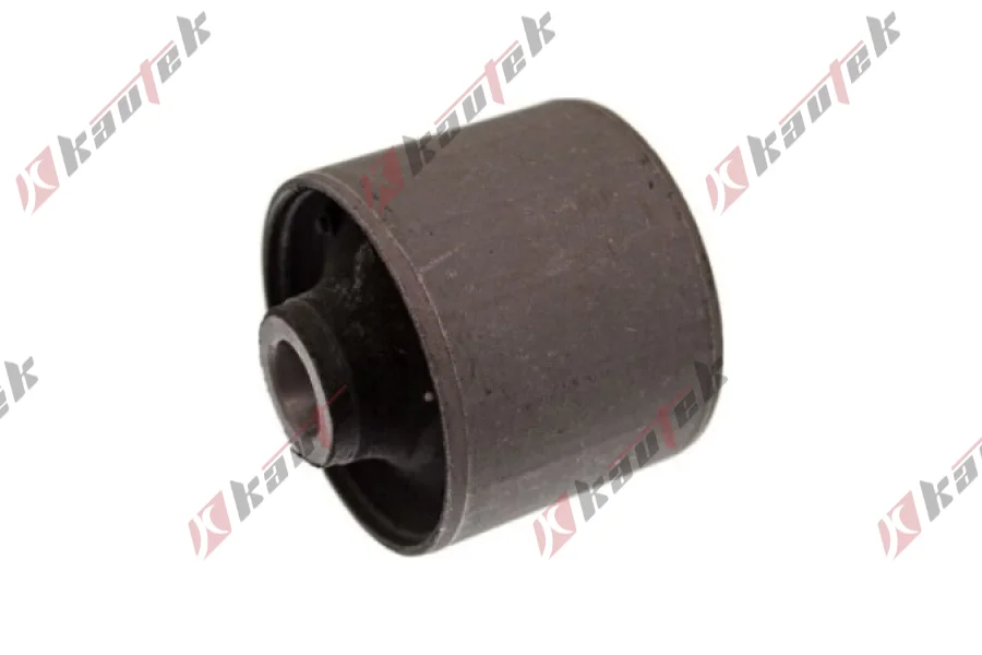 SALINCAK - DENGE KOLU BURCU, ARKA SAG / SOL