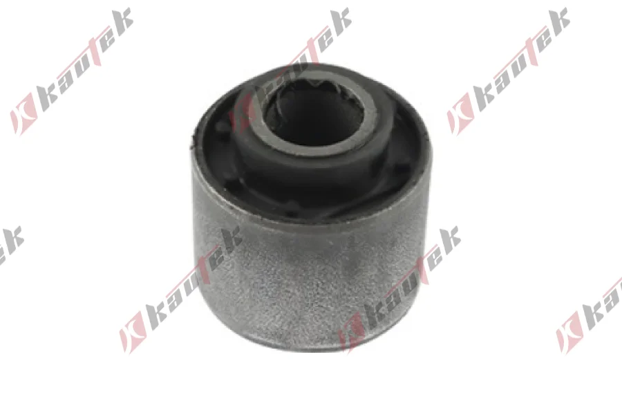 SALINCAK DENGE KOL IC BURCU