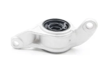 SALINCAK BURCU, ARKA SAG