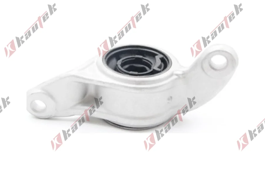 SALINCAK BURCU, ARKA SAG