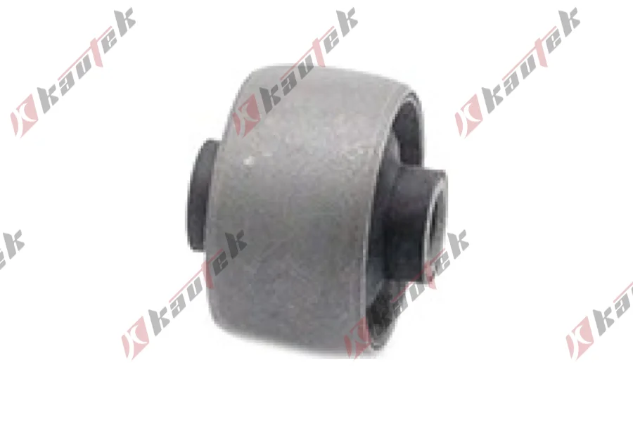 SALINCAK BURCU BUYUK