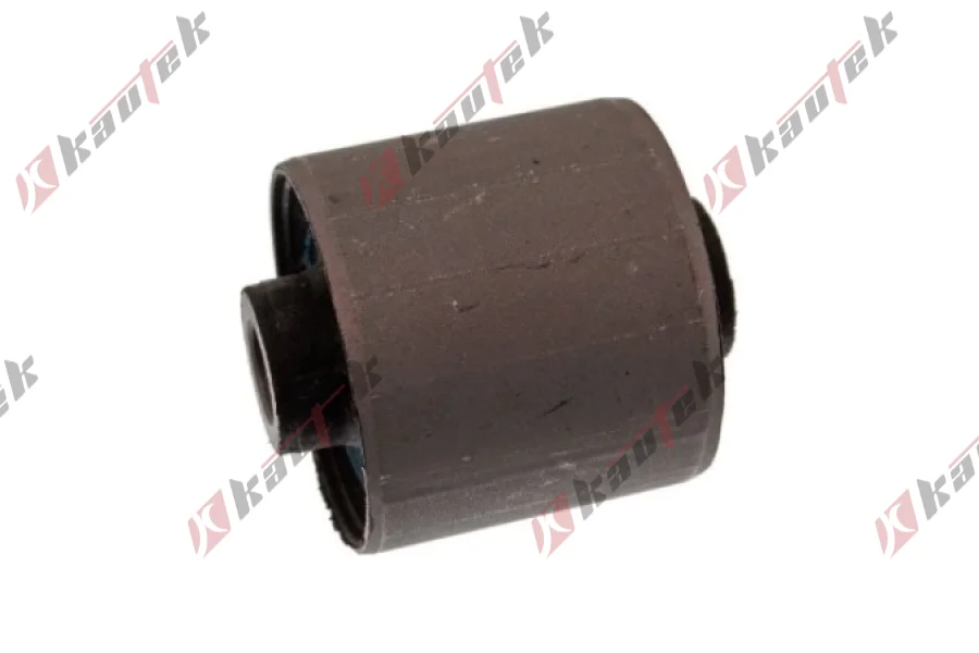 SALINCAK - DENGE KOLU BURCU, ARKA SAG/SOL