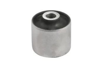 SALINCAK DENGE KOL BURCU, ARKA, SAG, UST