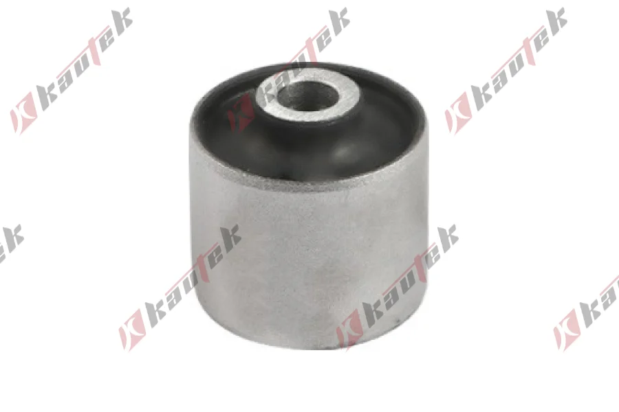 SALINCAK DENGE KOL BURCU, ARKA, SAG, UST