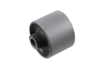 SALINCAK - DENGE KOLU BURCU, ARKA SAG / SOL