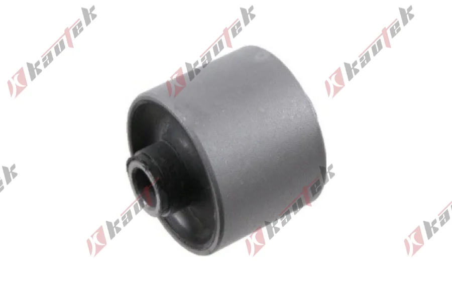 SALINCAK - DENGE KOLU BURCU, ARKA SAG / SOL