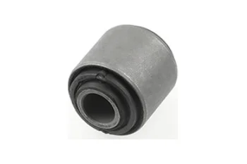 SALINCAK BURCU BUYUK ON