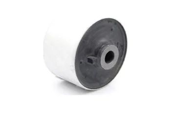 SALINCAK BURCU, BUYUK