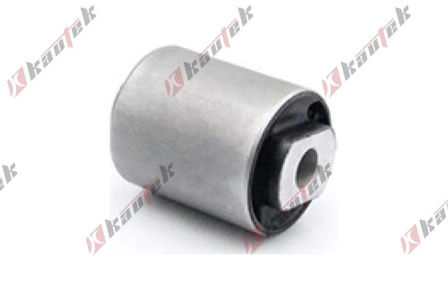 SALINCAK - DENGE KOLU BURCU, ARKA